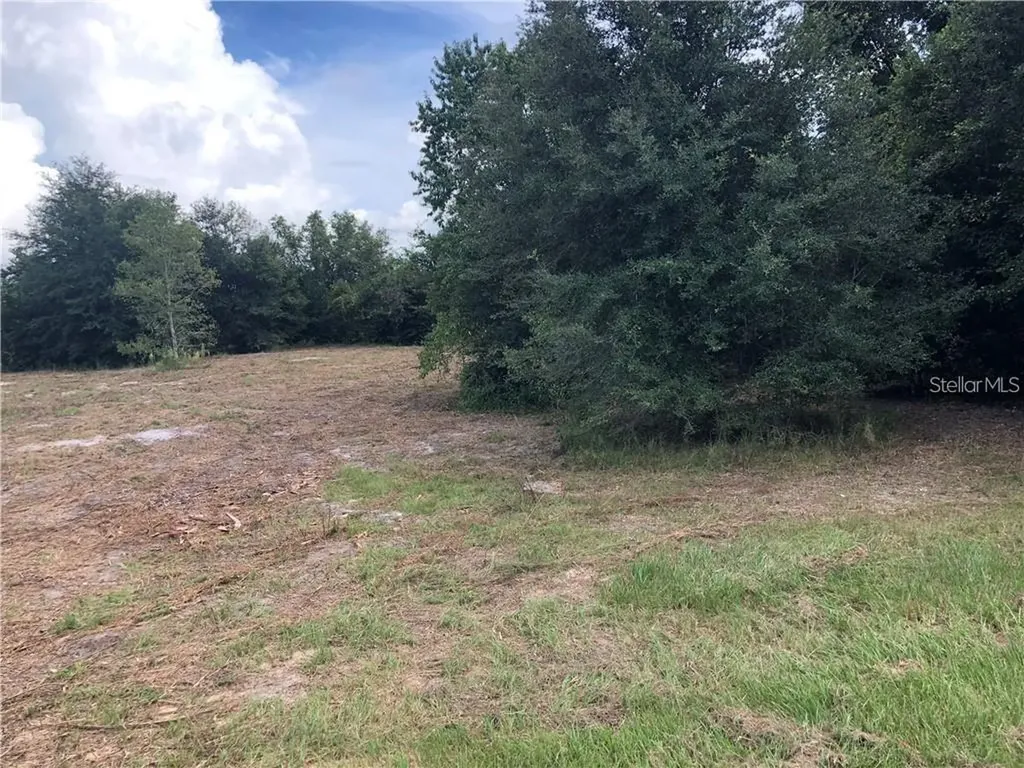 Sugarloaf Mountain Road Clermont FL 34711
