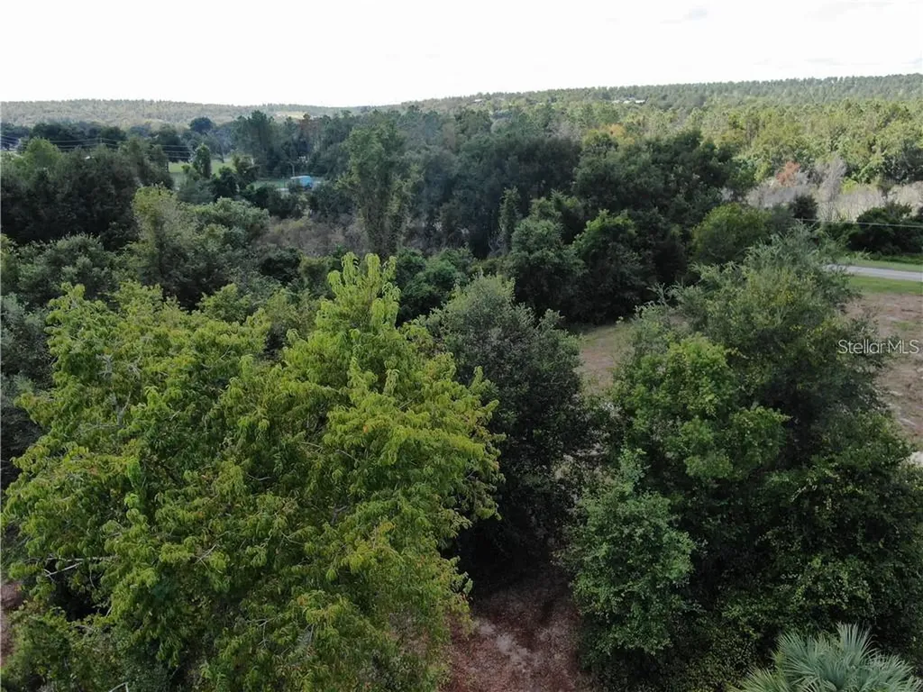 Sugarloaf Mountain Road Clermont FL 34711
