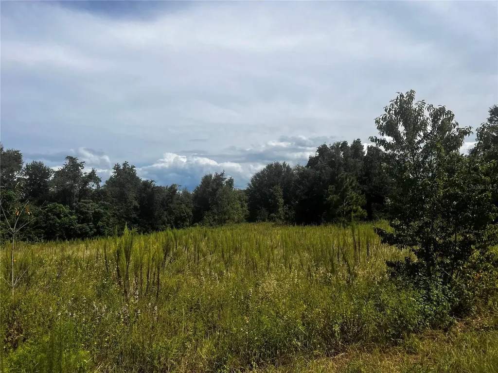 Sugarloaf Mountain Road Clermont FL 34711