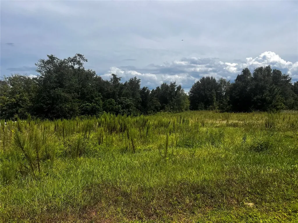 Sugarloaf Mountain Road Clermont FL 34711