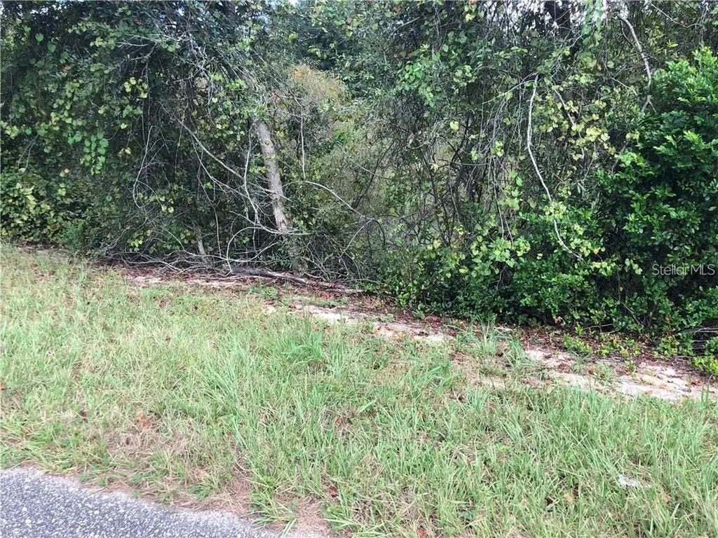 Sugarloaf Mountain Road Clermont FL 34711
