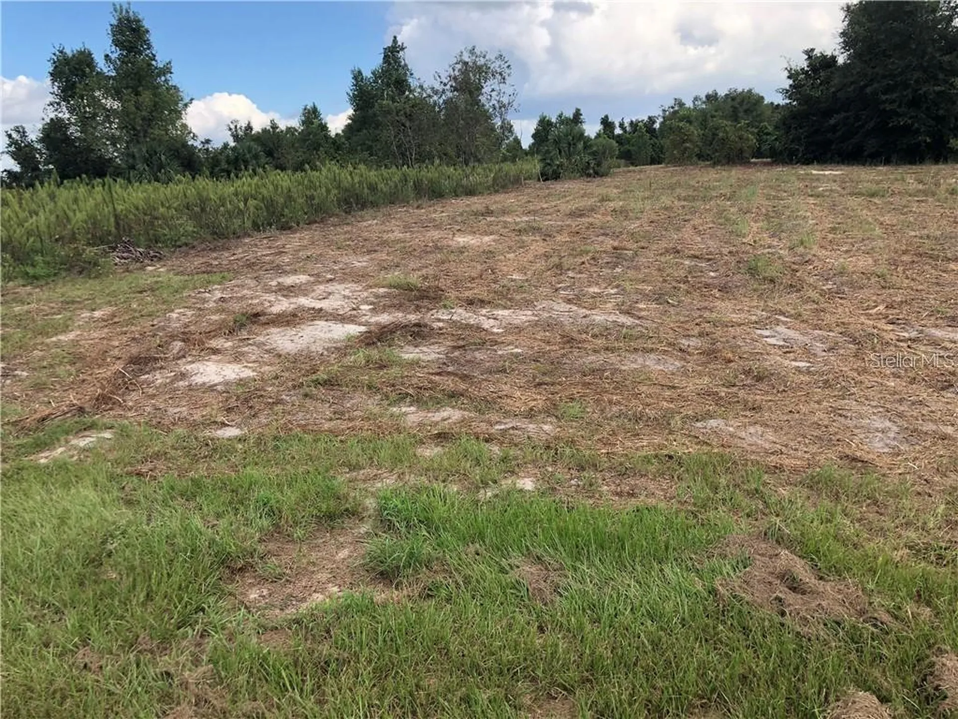 Sugarloaf Mountain Road Clermont FL 34711