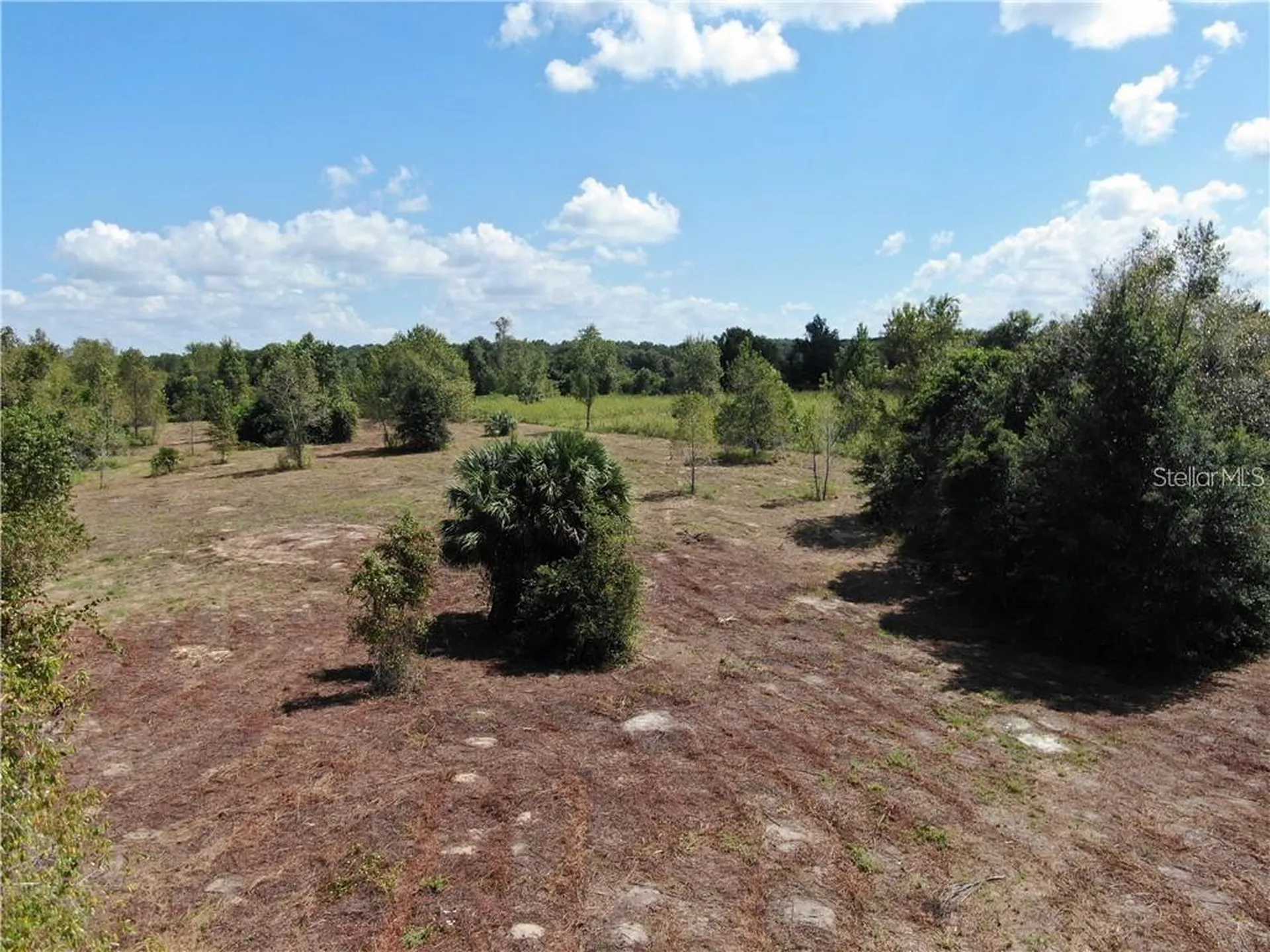 Sugarloaf Mountain Road Clermont FL 34711