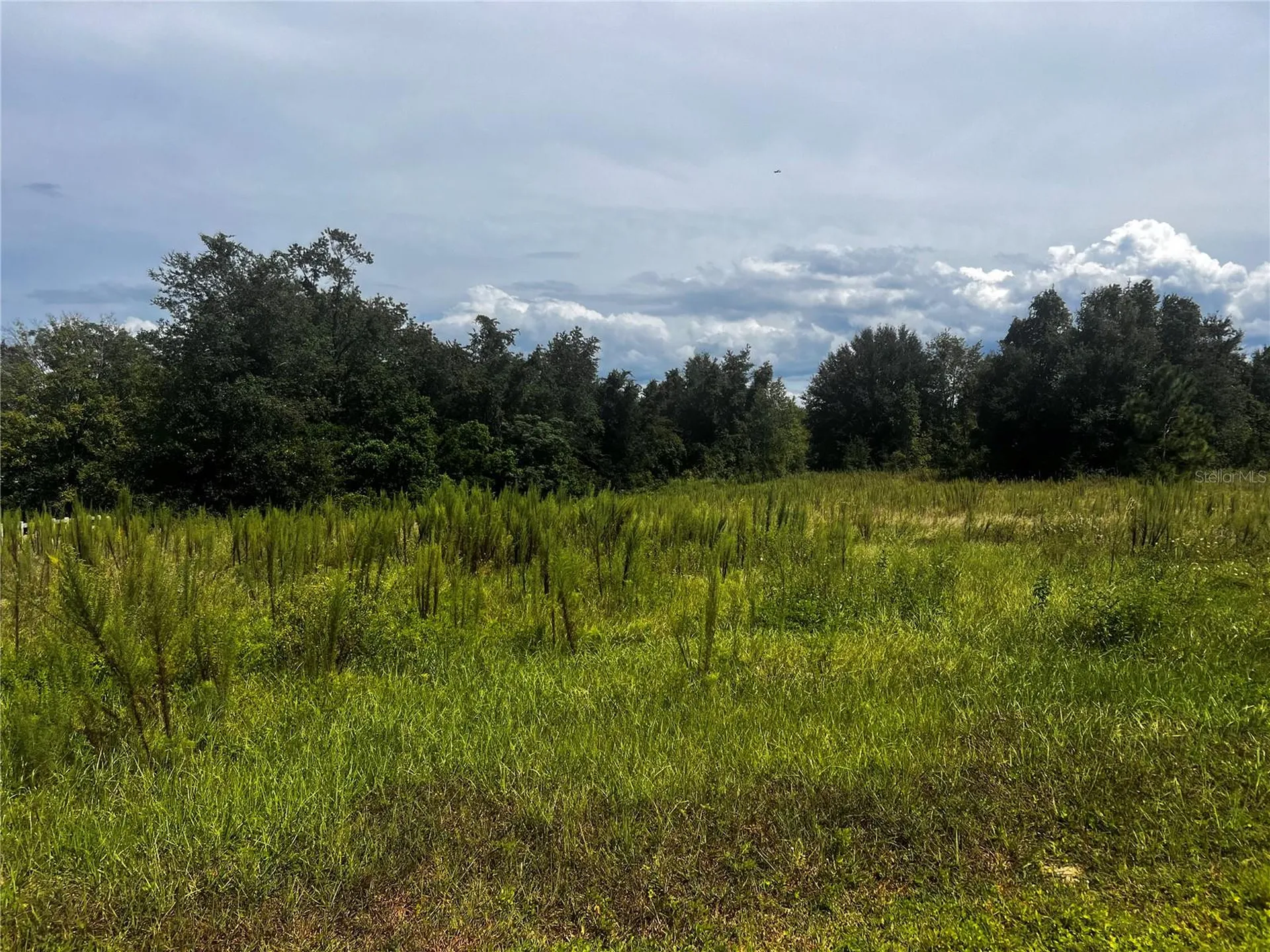 Sugarloaf Mountain Road Clermont FL 34711