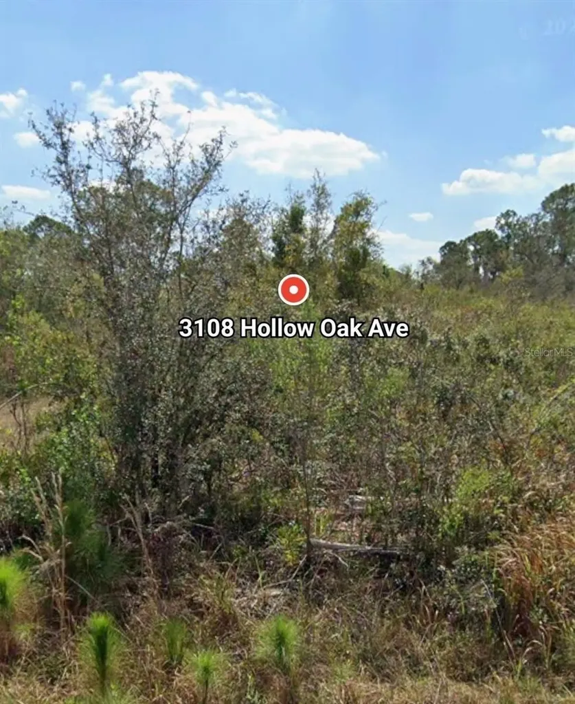 3108 Hollow Oak Avenue Lake Placid FL 33852