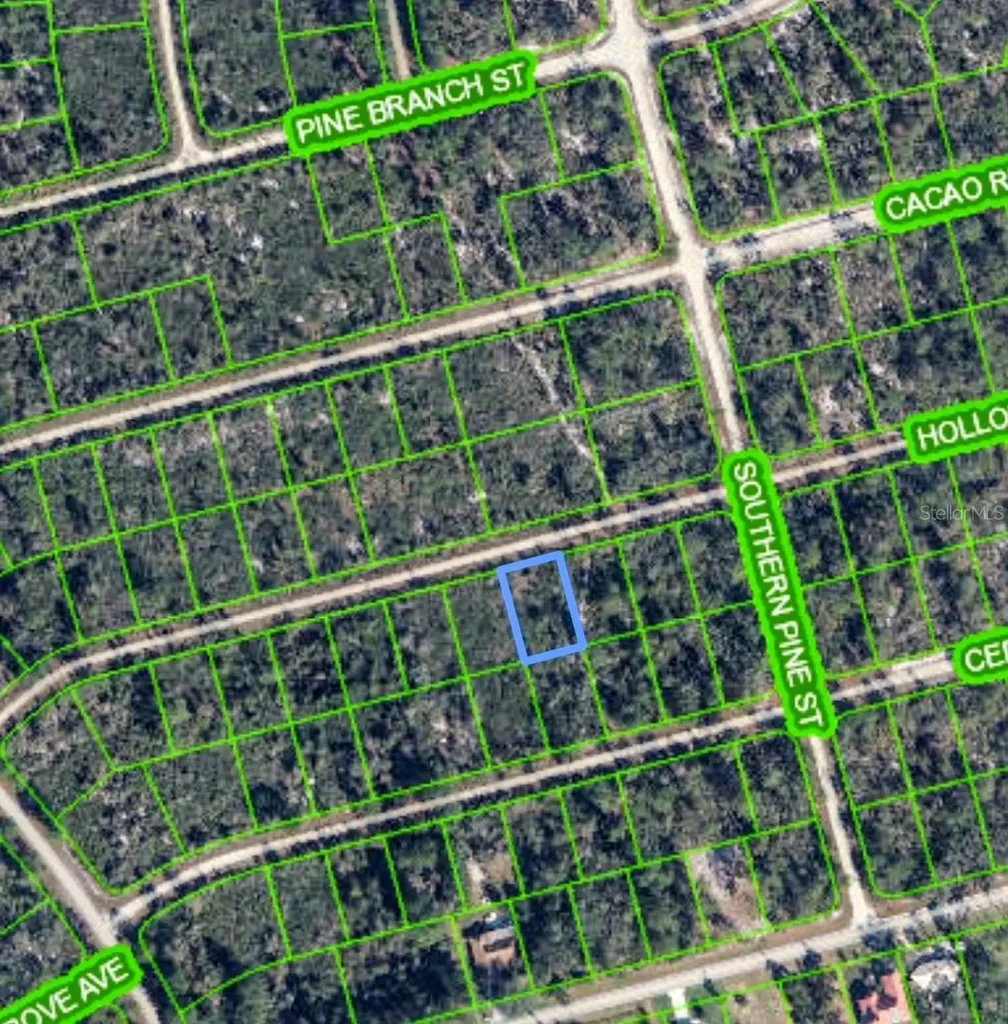 3108 Hollow Oak Avenue Lake Placid FL 33852