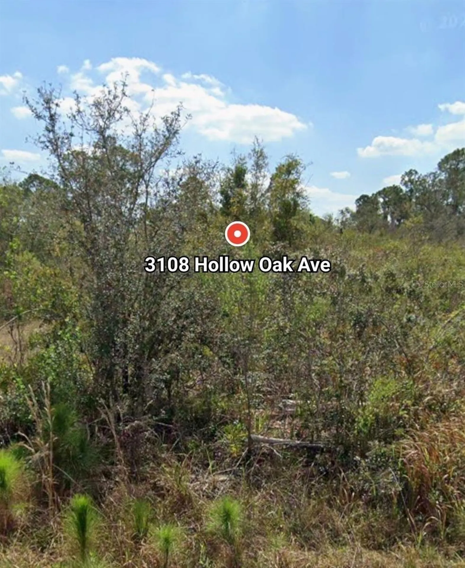 3108 Hollow Oak Avenue Lake Placid FL 33852