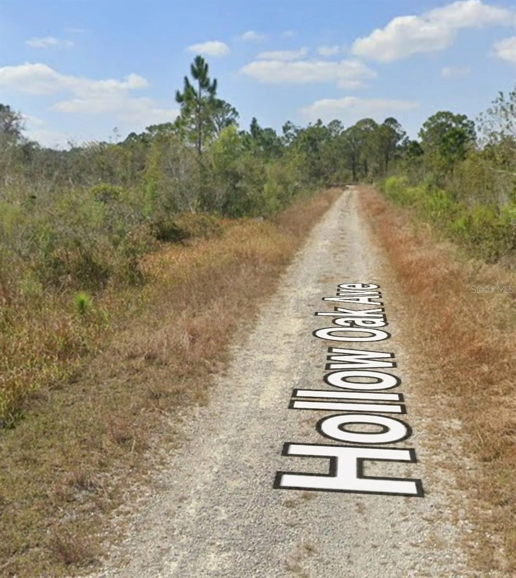 3108 Hollow Oak Avenue Lake Placid FL 33852