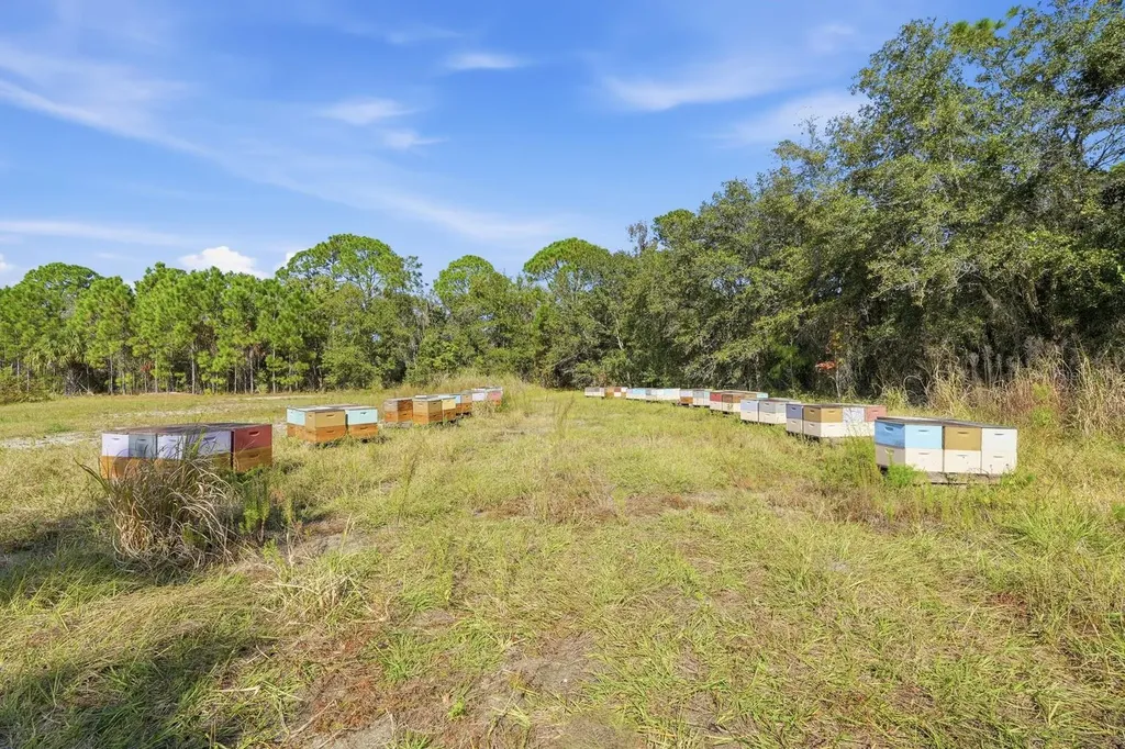 270 Wright Grove Road Oak Hill FL 32759