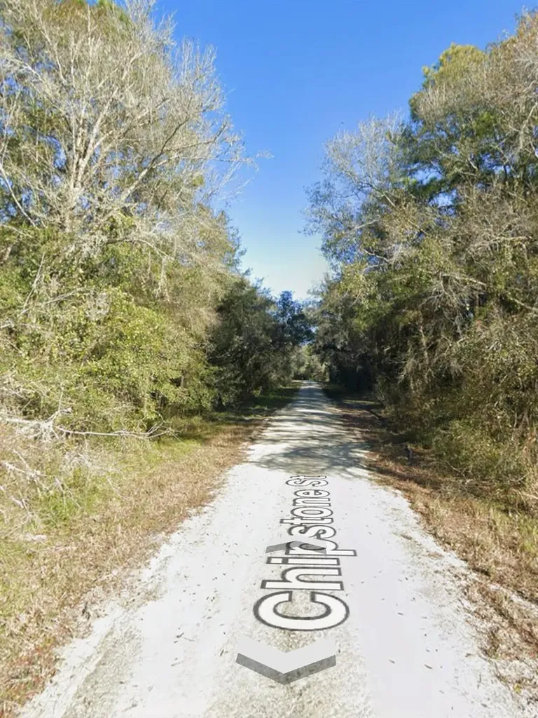 Chipstone Street Webster FL 33597
