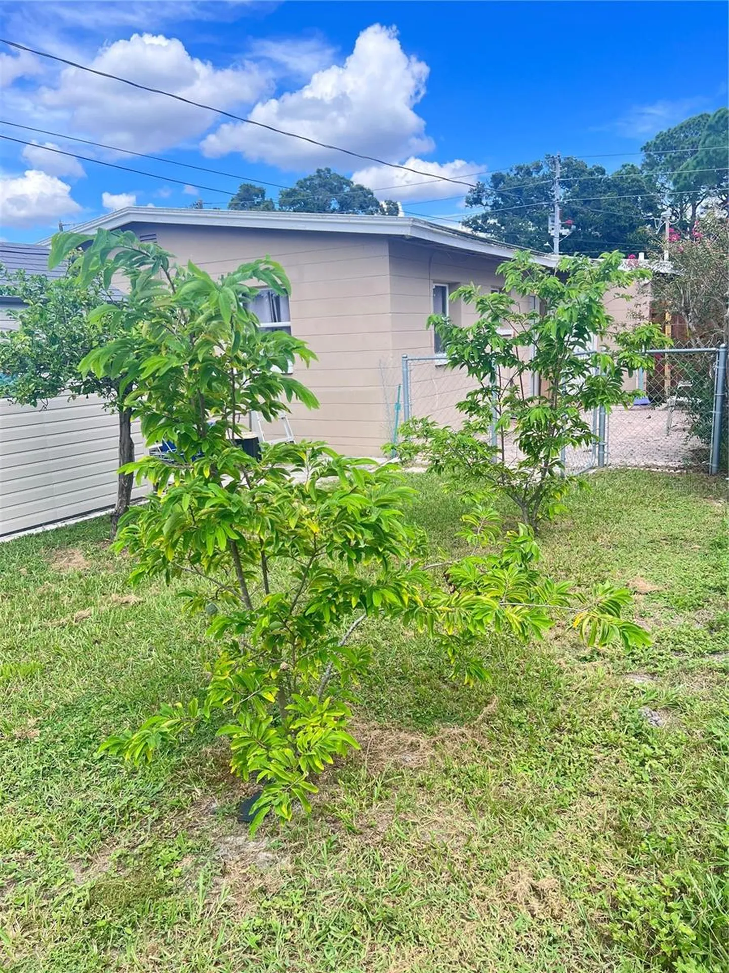 3612 71st Street N St Petersburg FL 33710