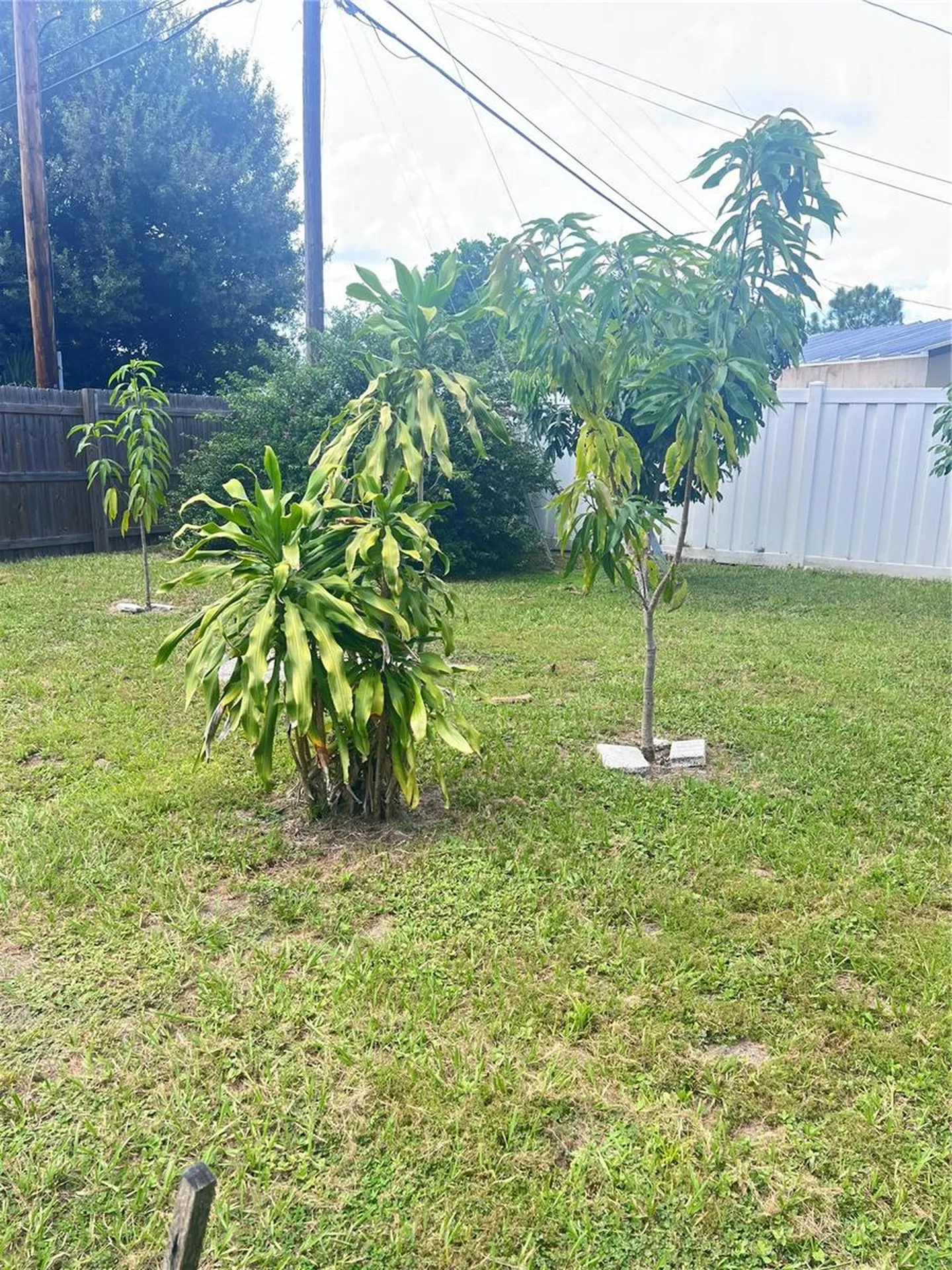 3612 71st Street N St Petersburg FL 33710