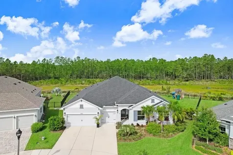 16160 November Rain Court Land O Lakes FL 34638