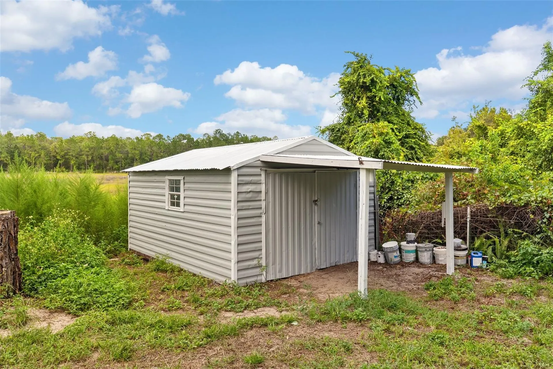 15375 SE 64th Place Ocklawaha FL 32179