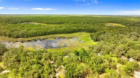 15375 SE 64th Place Ocklawaha FL 32179