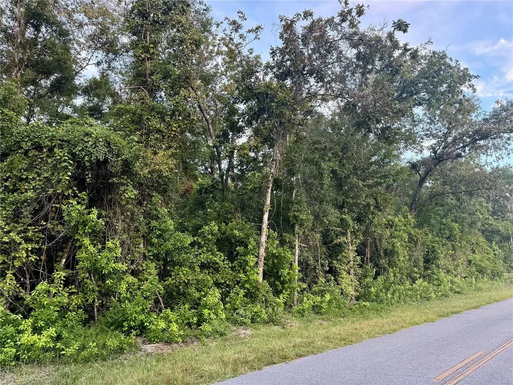 SW Newark Drive Fort White FL 32038