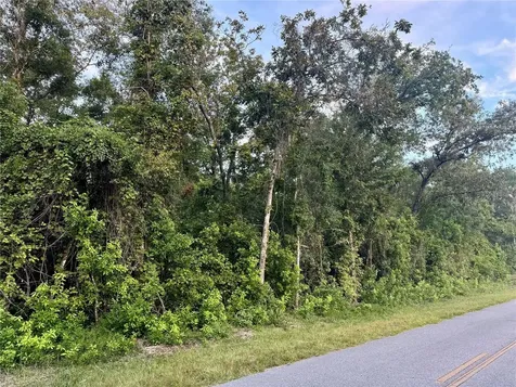 SW Newark Drive Fort White FL 32038