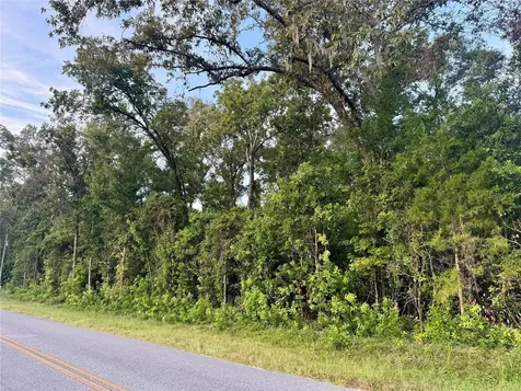 SW Newark Drive Fort White FL 32038
