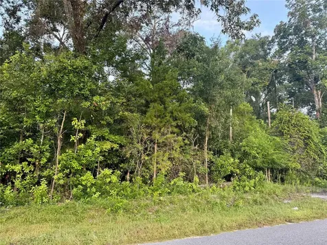 SW Newark Drive Fort White FL 32038