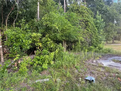 SW Newark Drive Fort White FL 32038