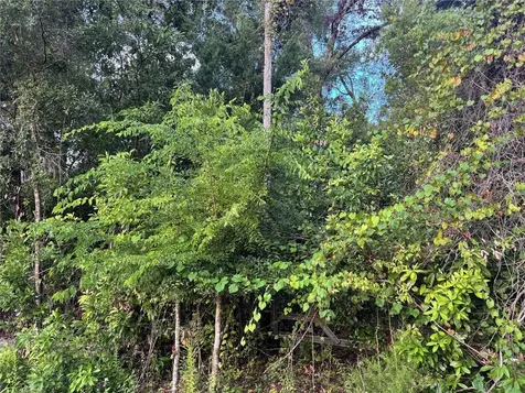 SW Newark Drive Fort White FL 32038