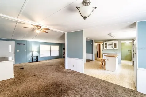24031 Armadillo Road Astor FL 32102