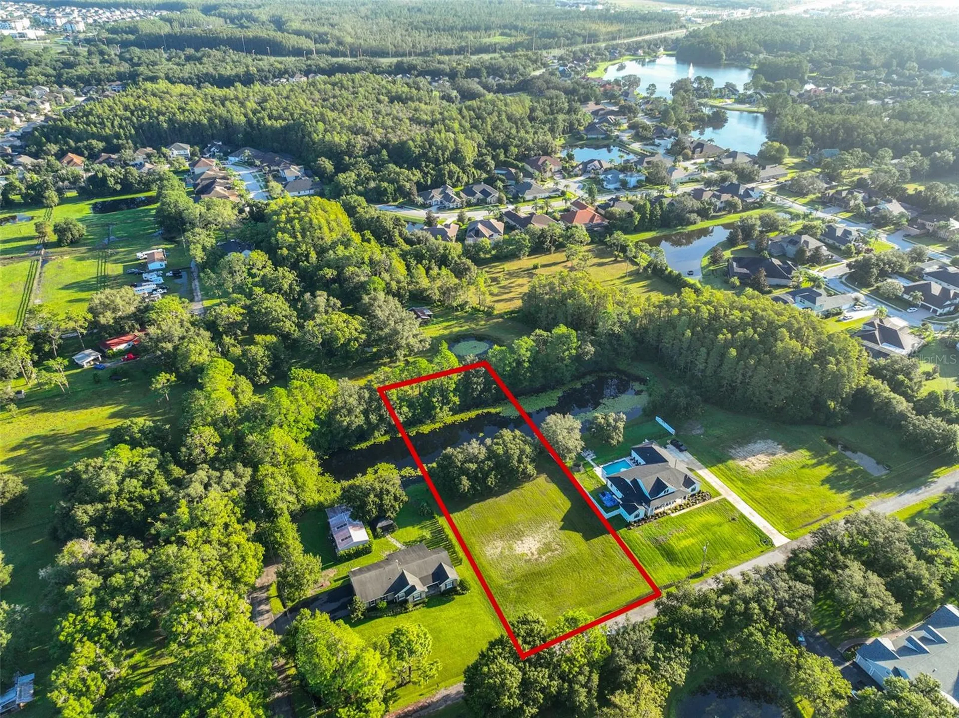 0 Phillips Road Odessa FL 33556
