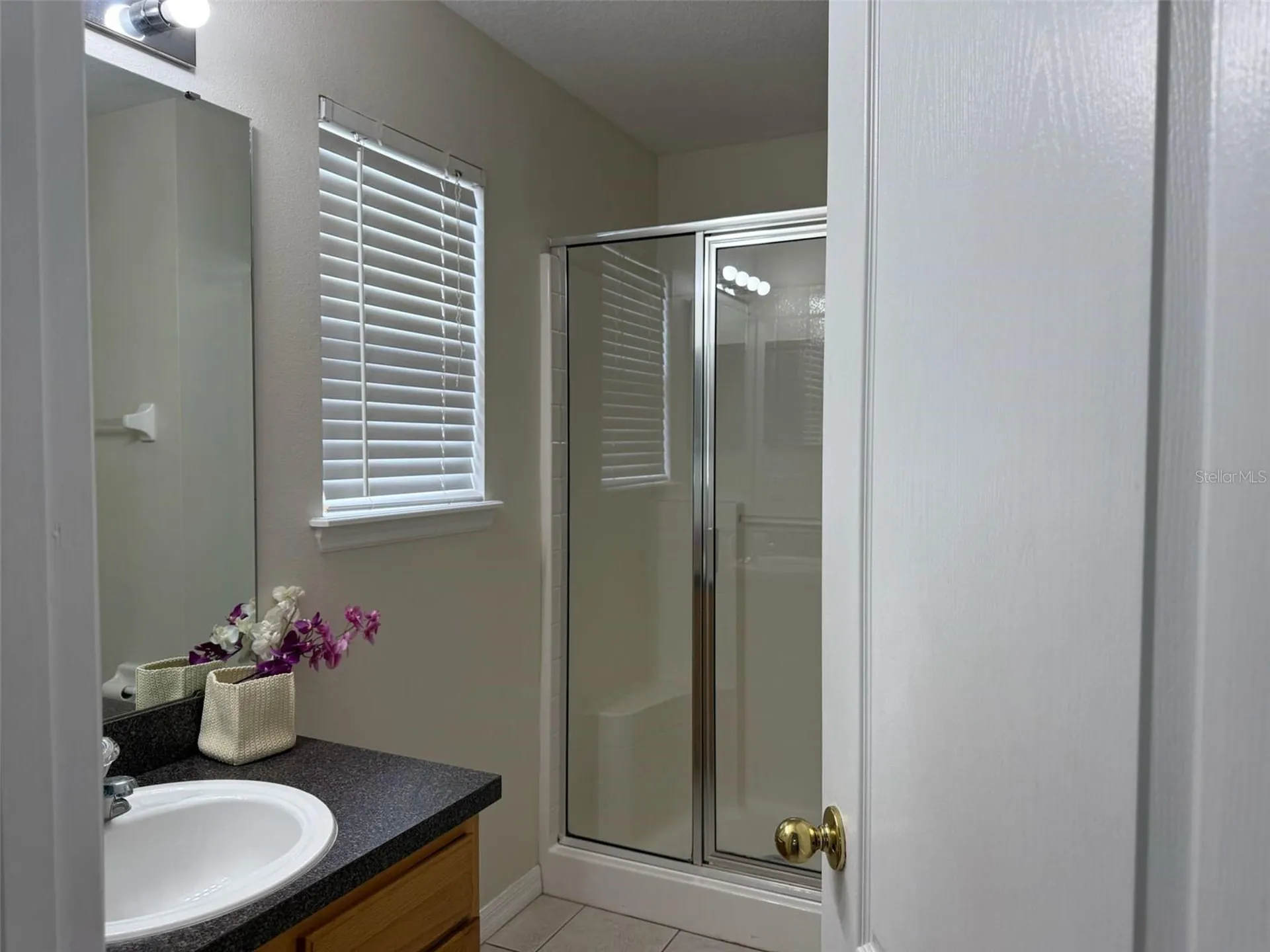 178 Hammock Court Davenport FL 33896