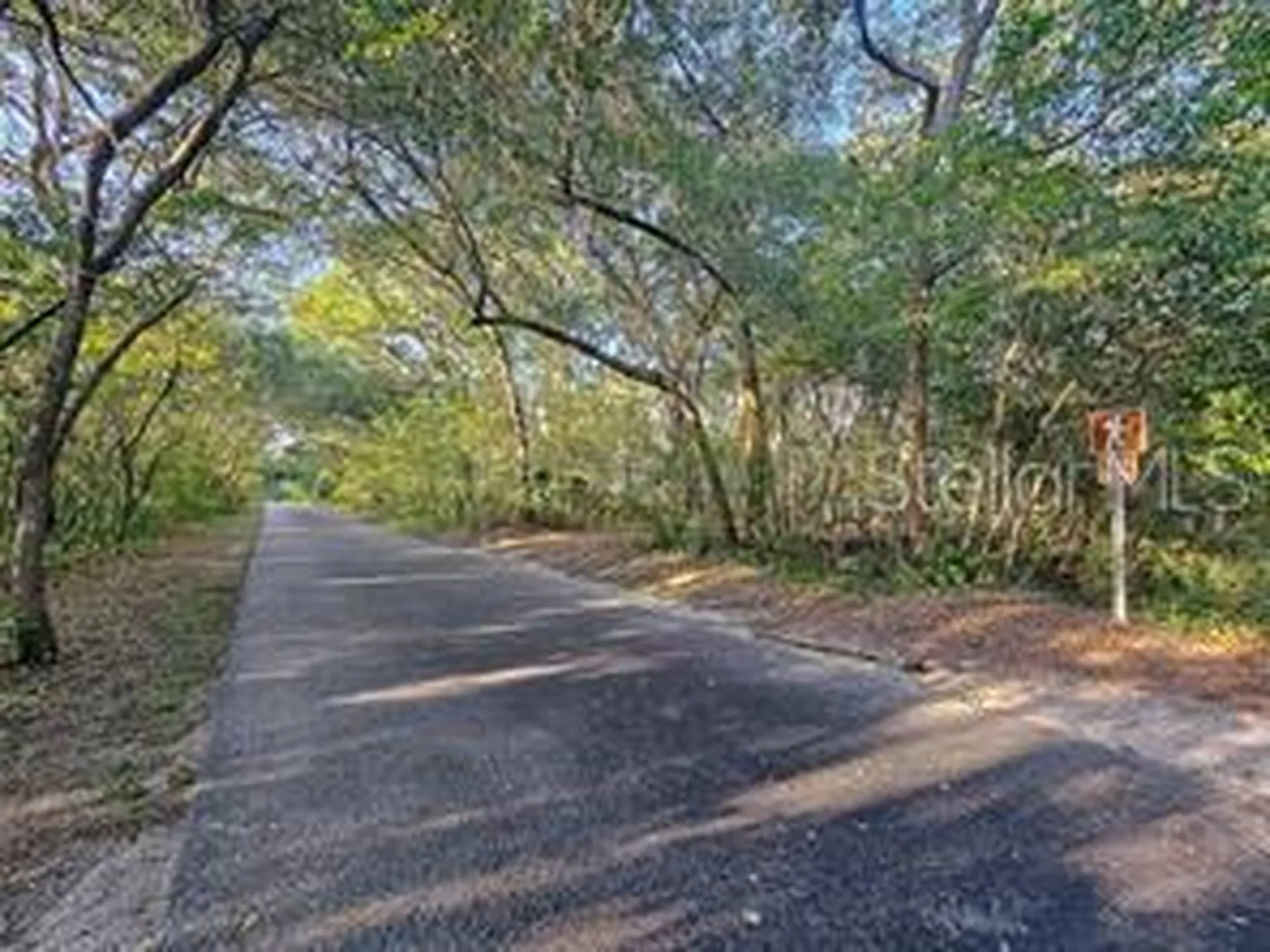 44 Avonwood Tampa FL 33625