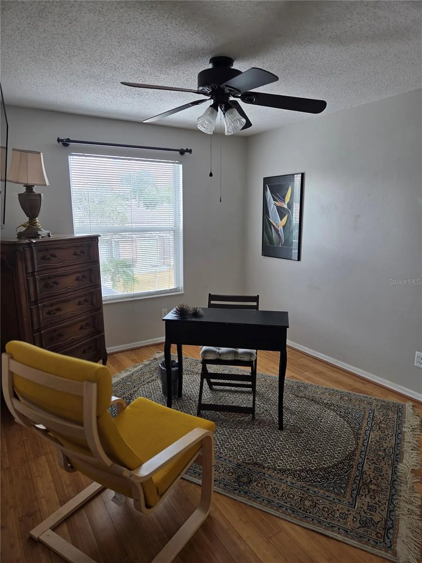 10237 Goldenbrook Way Tampa FL 33647