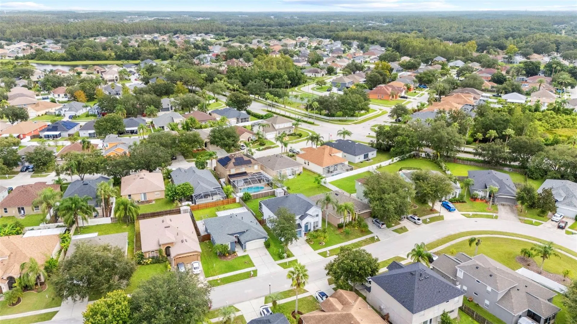 10237 Goldenbrook Way Tampa FL 33647