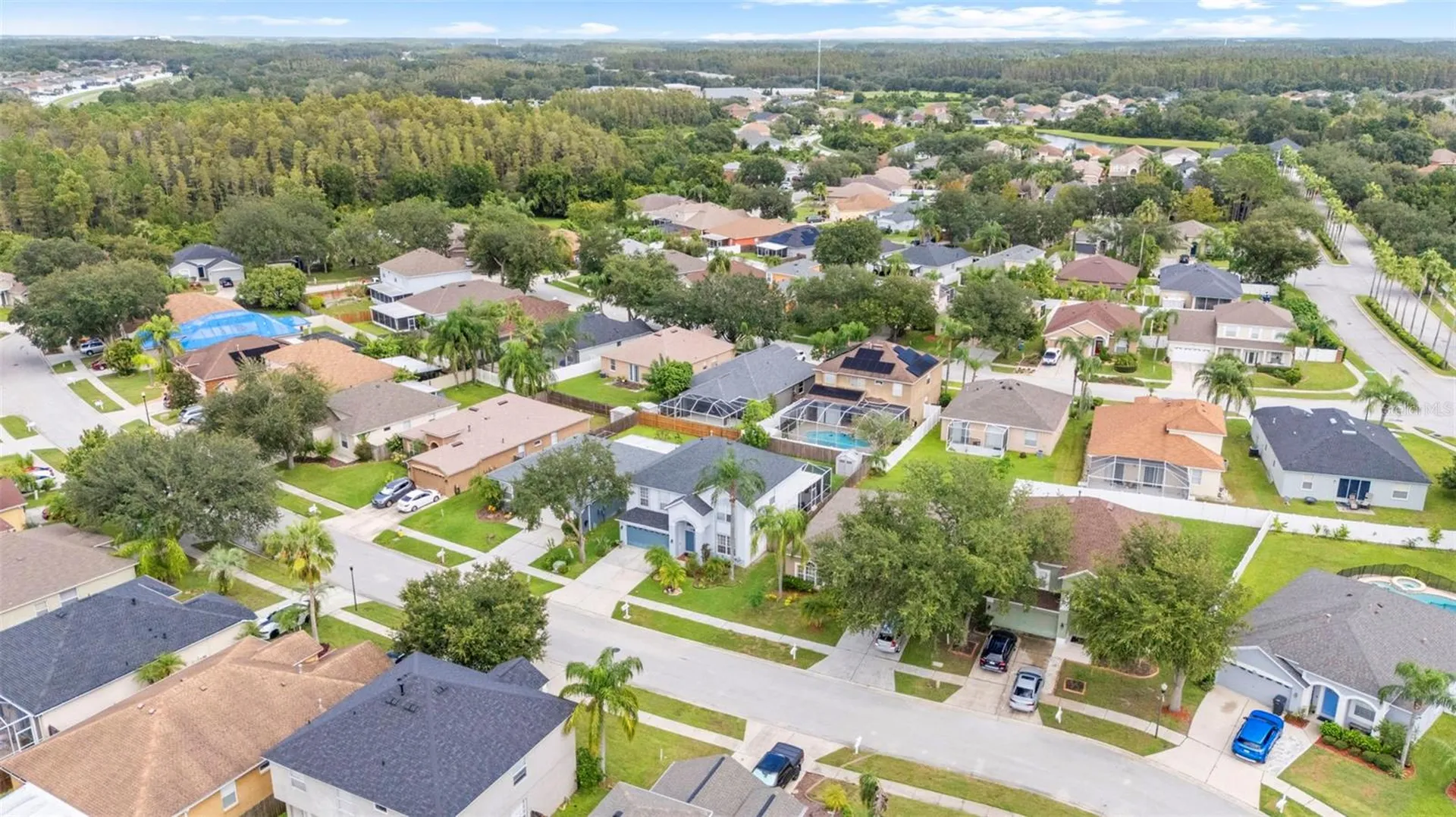 10237 Goldenbrook Way Tampa FL 33647