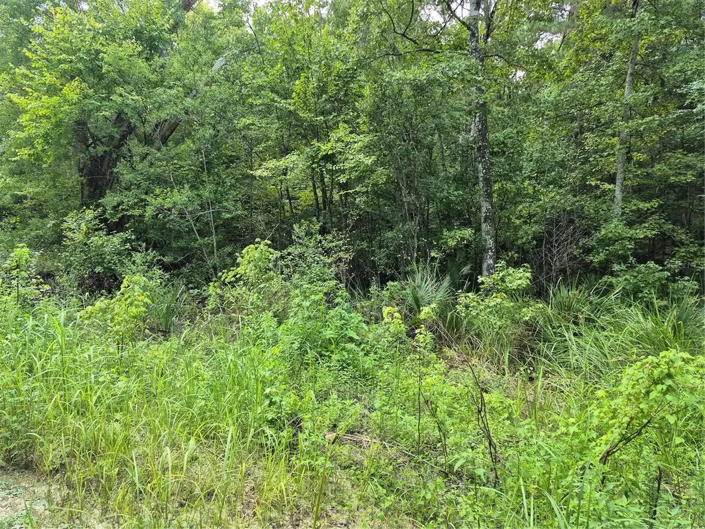 SE 42nd Court Belleview FL 34420