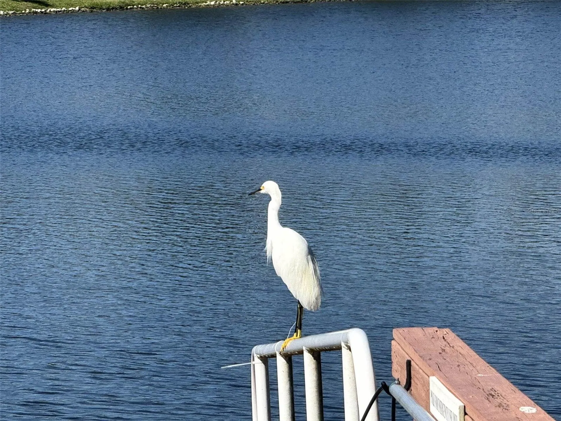 8204 Waterview Boulevard Lakewood Ranch FL 34202