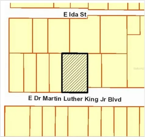 1318 E Drive Martin Luther King Jr Boulevard Tampa FL 33603