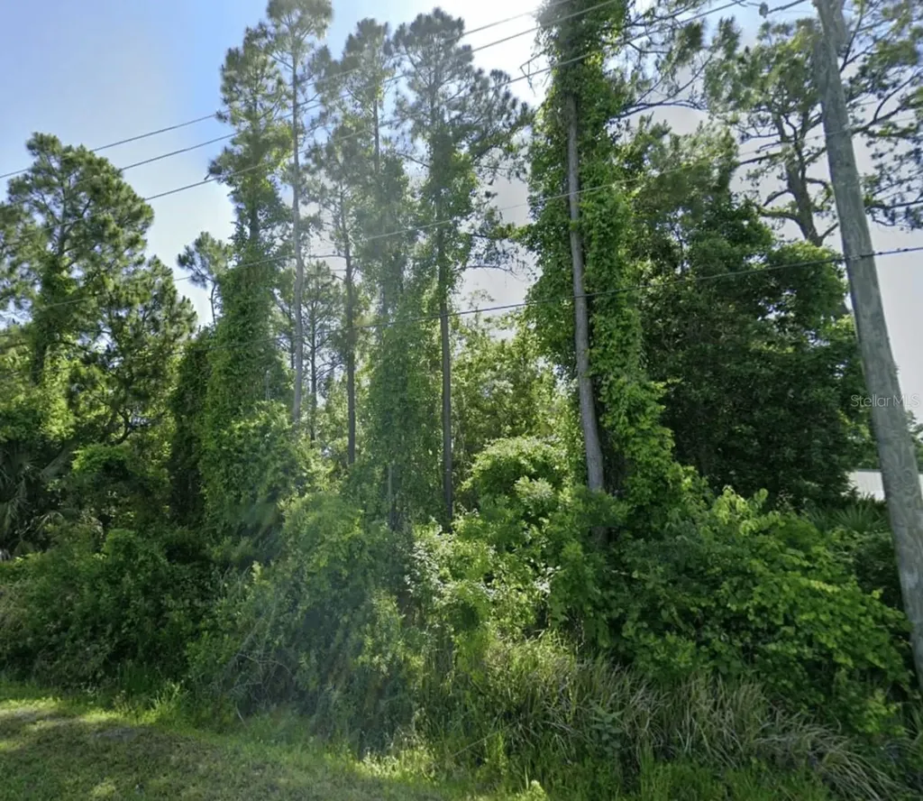 Dobbs Road St Augustine FL 32086