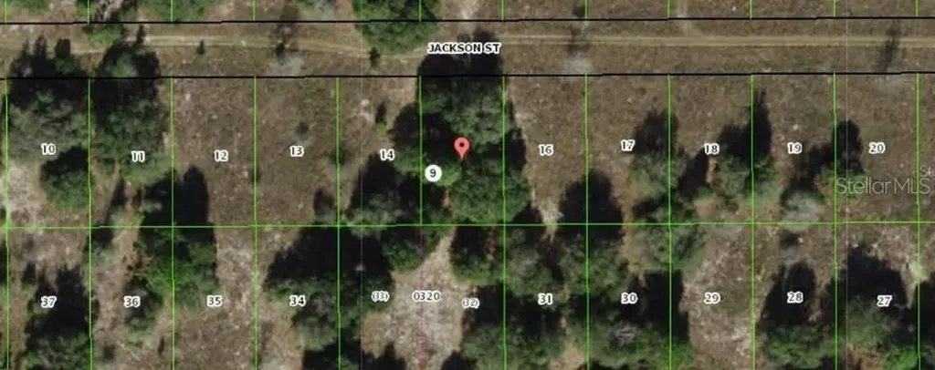 2403 Jackson Street Inverness FL 34453