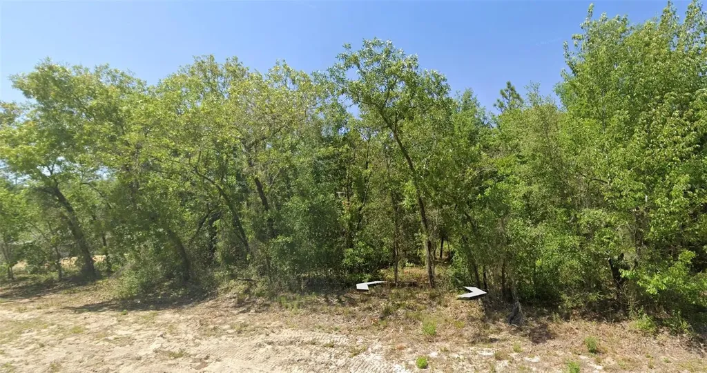 Rainbow Lakes Boulevard Dunnellon FL 34431