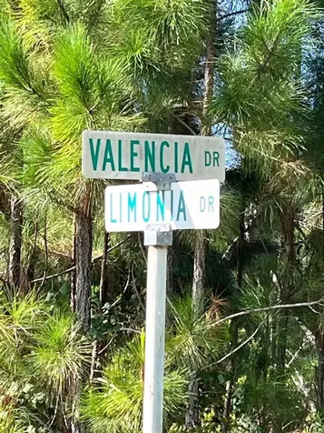 211 Valencia Drive Indian Lake Estates FL 33855