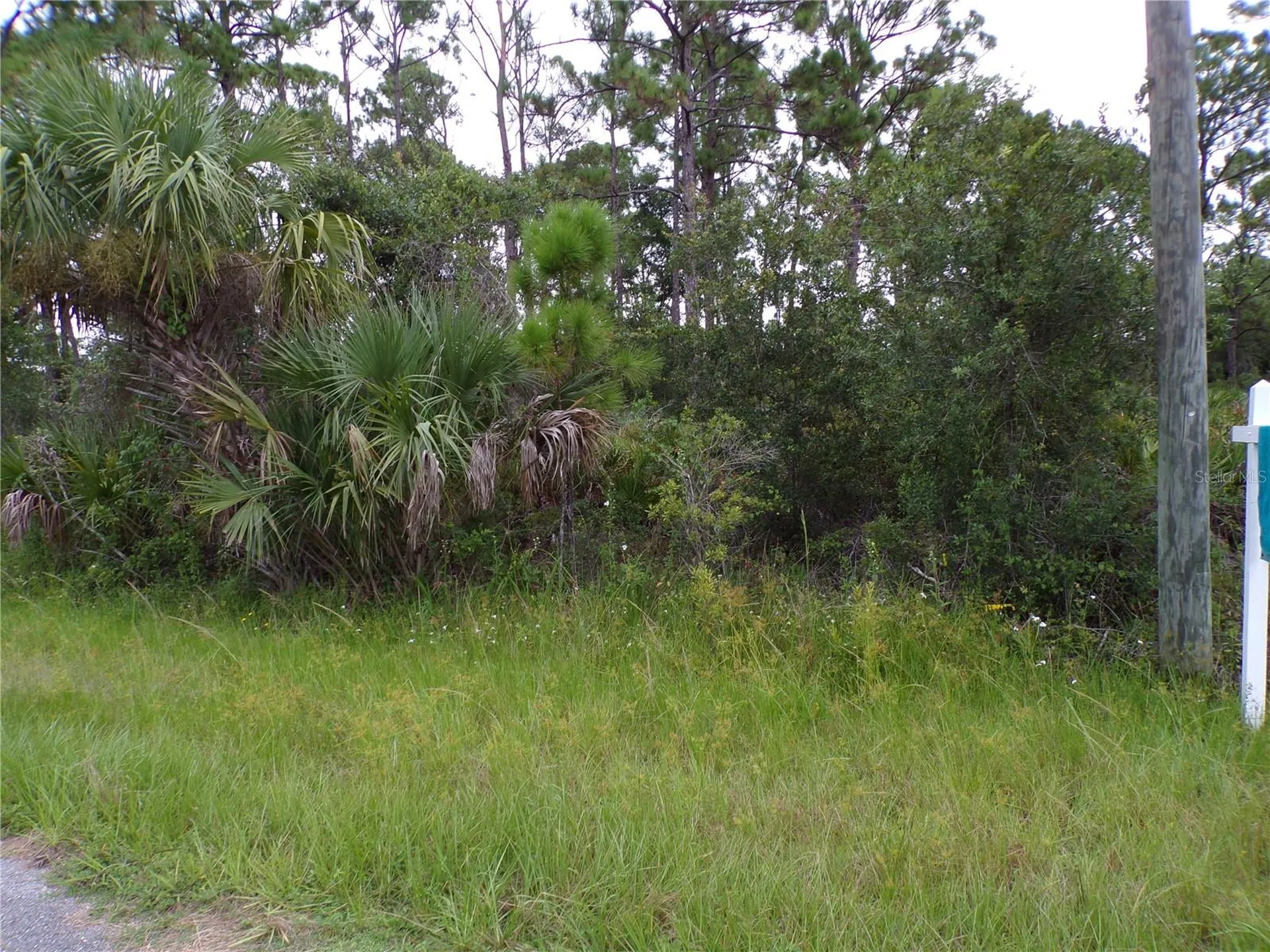 14020 Carrie Avenue Port Charlotte FL 33953