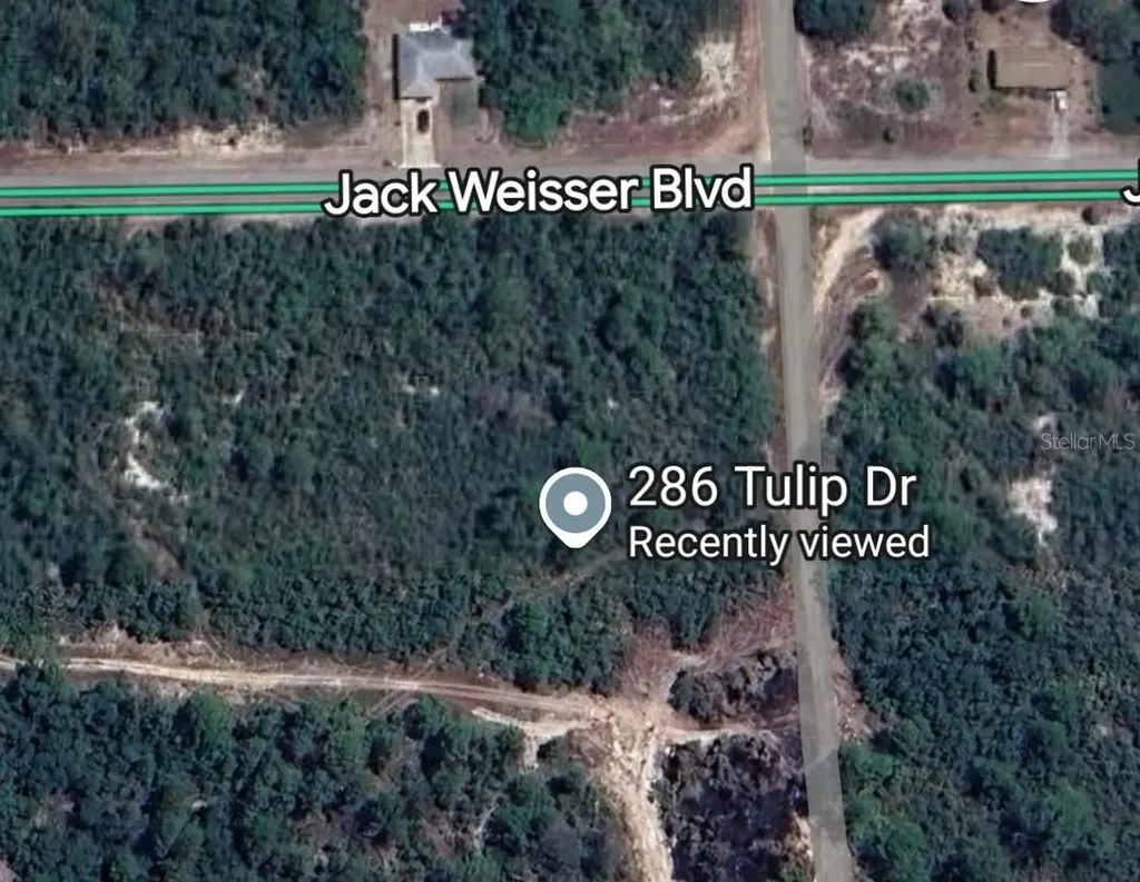 286 Tulip Drive Lake Placid FL 33852