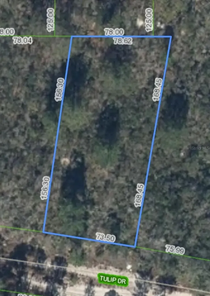 286 Tulip Drive Lake Placid FL 33852