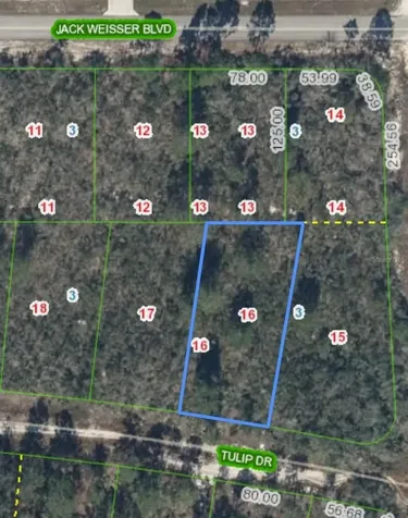 286 Tulip Drive Lake Placid FL 33852