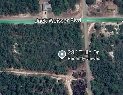 286 Tulip Drive Lake Placid FL 33852