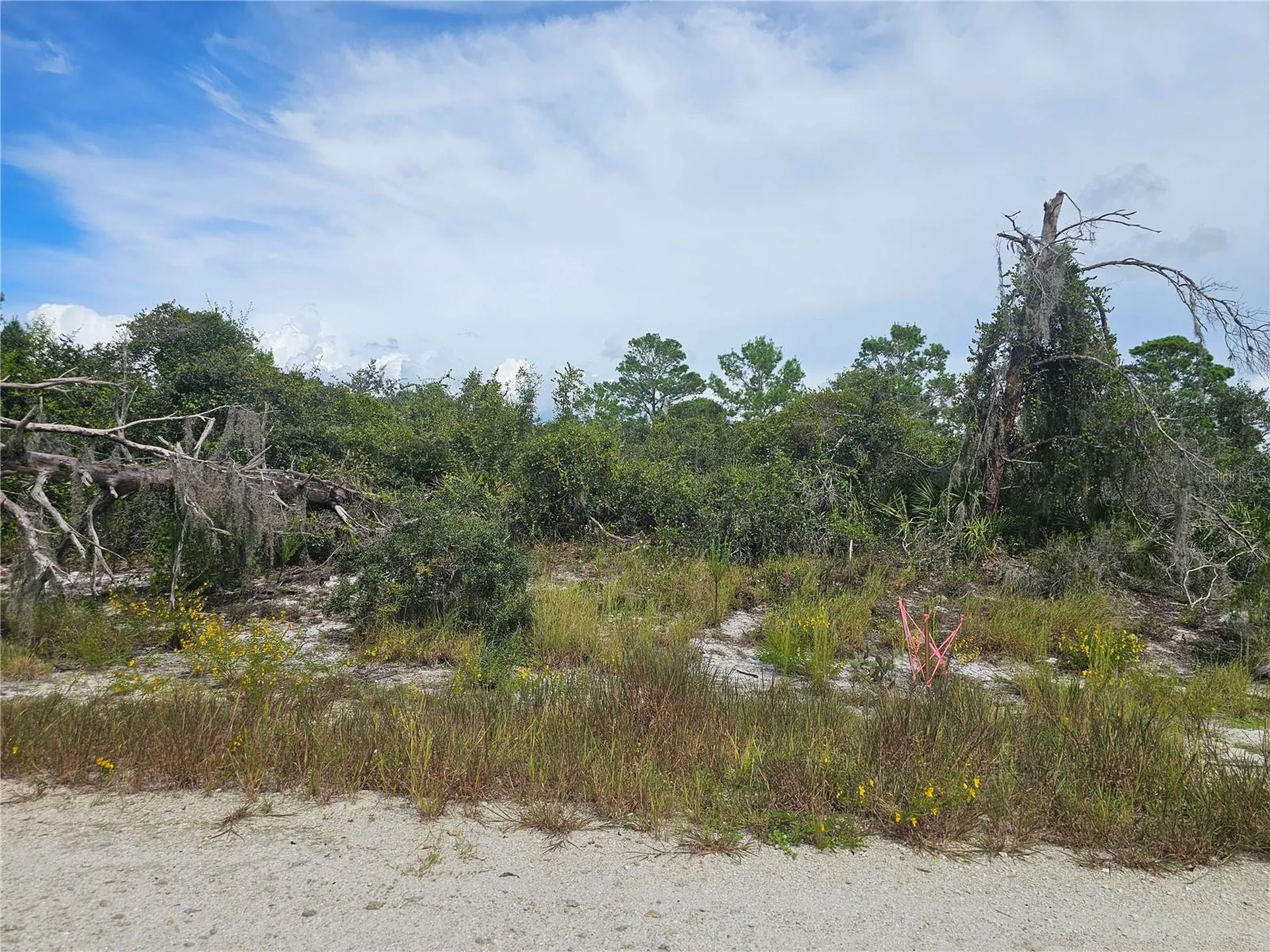 123 Patton Avenue Lake Placid FL 33852