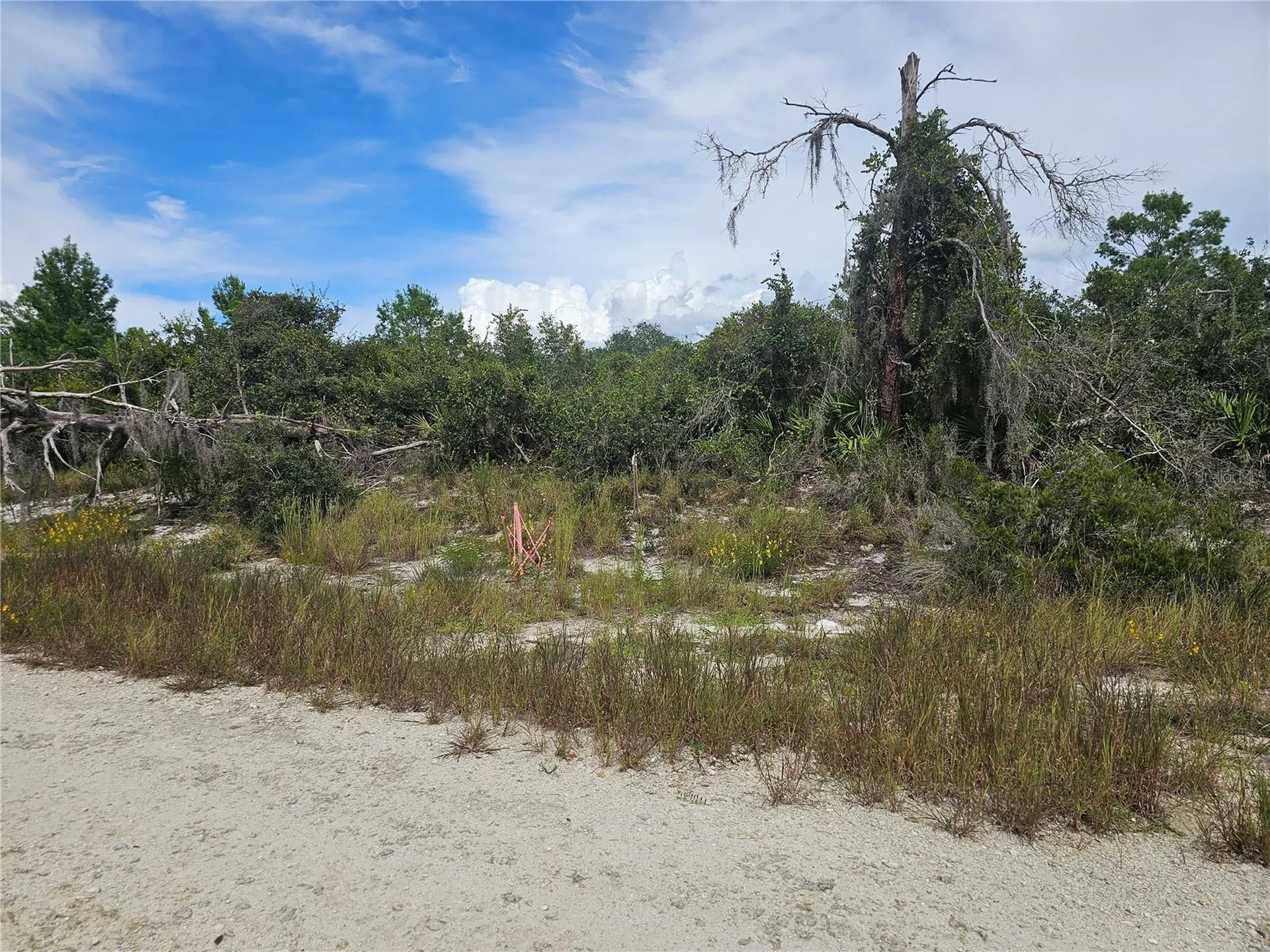 123 Patton Avenue Lake Placid FL 33852
