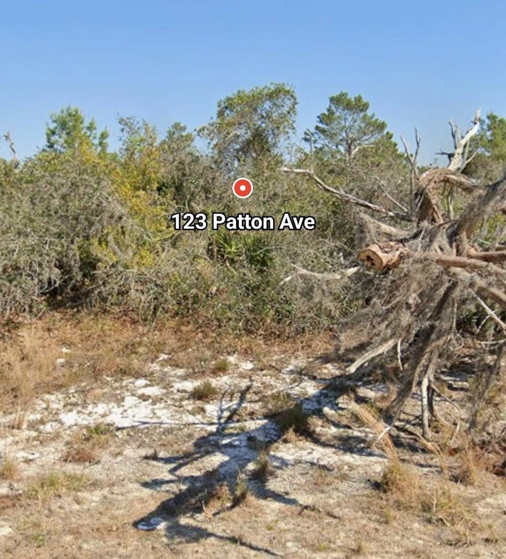 123 Patton Avenue Lake Placid FL 33852