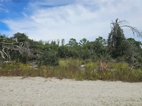123 Patton Avenue Lake Placid FL 33852