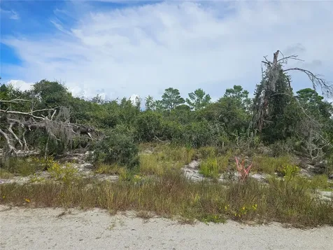 123 Patton Avenue Lake Placid FL 33852