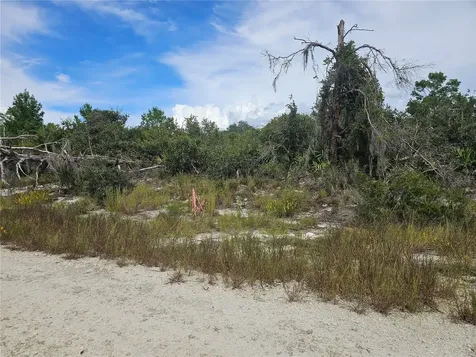 123 Patton Avenue Lake Placid FL 33852